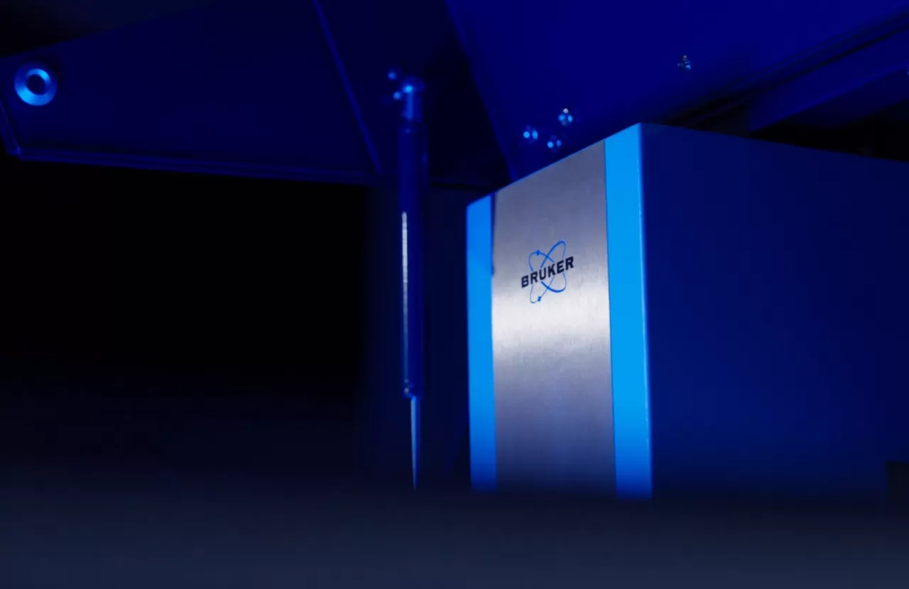 S8 TIGER