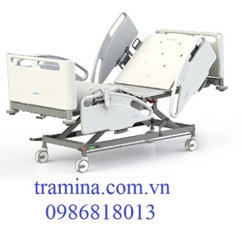 Giường bệnh viện- G420-18 Dòng Euroa Dòng Euroa