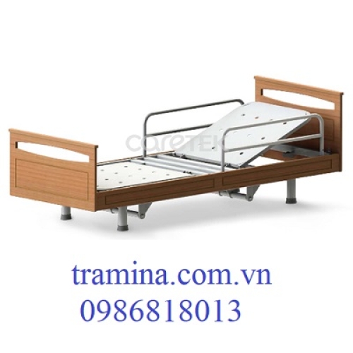 Giường điện Hi-Lo & Tựa lưng thay đổi H222-00-Dòng sản phẩm chăm sóc
