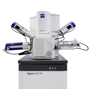 Kính hiển vi điện tử ZEISS Sigma 560